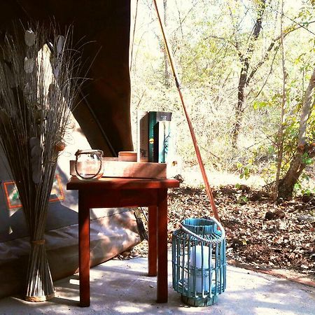 Beyond The Boma Boutique Guesthouse Marloth Park Ngoại thất bức ảnh