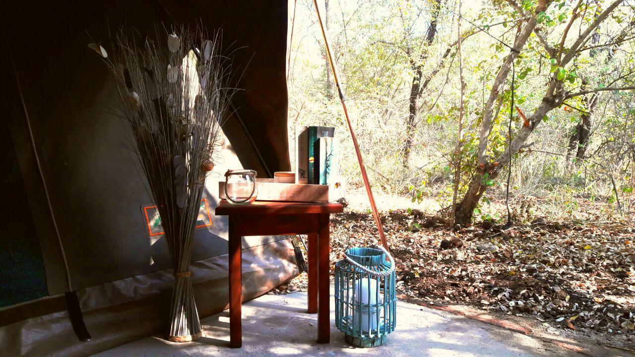 Beyond The Boma Boutique Guesthouse Marloth Park Ngoại thất bức ảnh