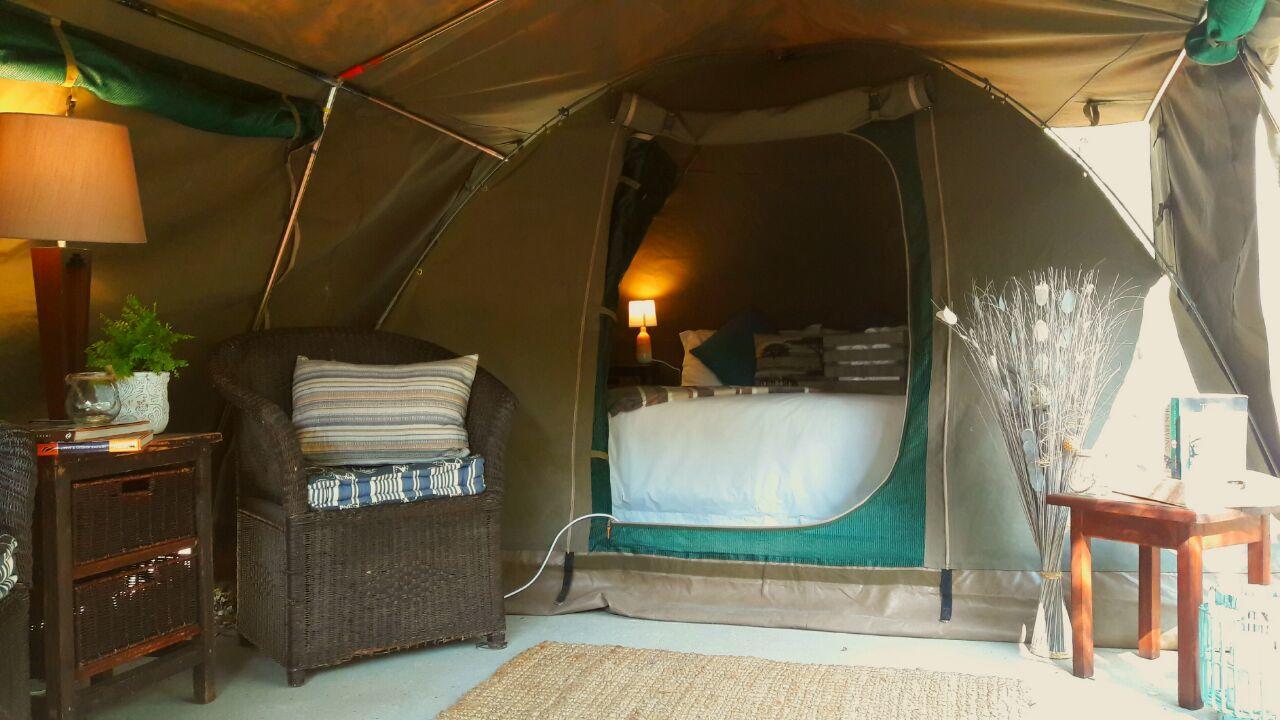 Beyond The Boma Boutique Guesthouse Marloth Park Ngoại thất bức ảnh